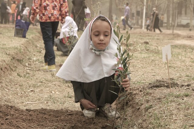 جشن درخت دوستی در یزد برگزار شد