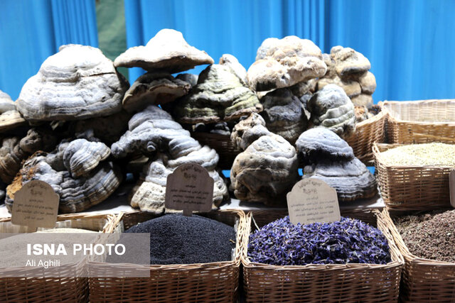 نمایشگاه فروش عیدانه در یزد