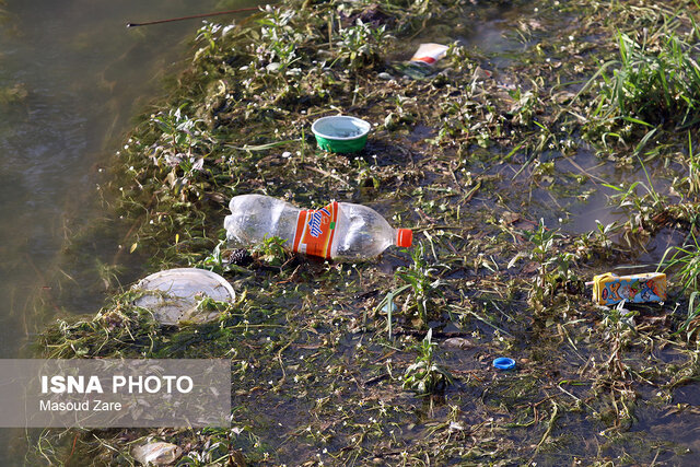 بجا مانده از روز طبیعت در طبیعت یزد