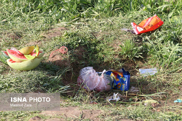 بجا مانده از روز طبیعت در طبیعت یزد