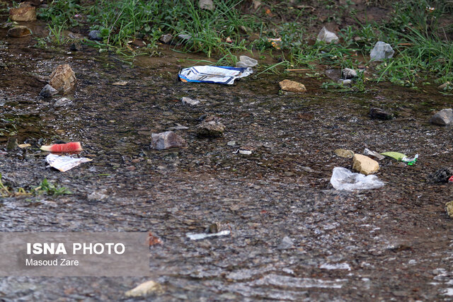 بجا مانده از روز طبیعت در طبیعت یزد