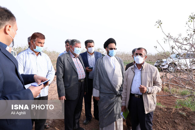 برآورد خسارات سرمازدگی به کشاورزی استان یزد از سوی کارشناسان کشوری