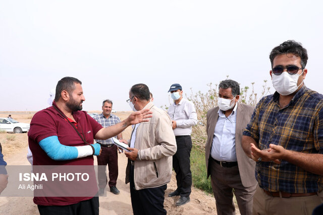 برآورد خسارات سرمازدگی به کشاورزی استان یزد از سوی کارشناسان کشوری