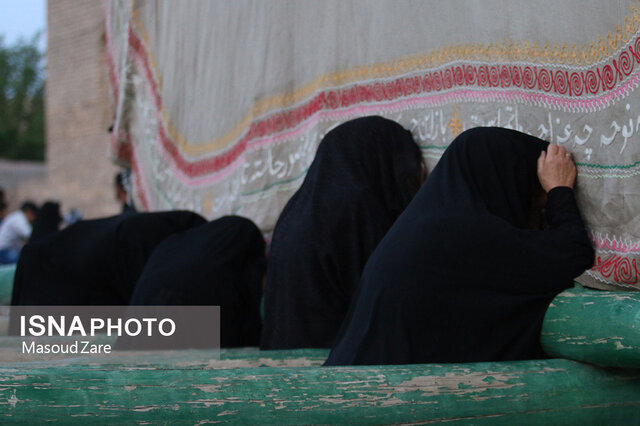 آیین نخلبرداری در مهریز بمناسبت شهادت حضرت علی(ع)