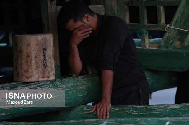 آیین نخلبرداری در مهریز بمناسبت شهادت حضرت علی(ع)