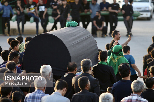 آیین نخلبرداری در مهریز بمناسبت شهادت حضرت علی(ع)