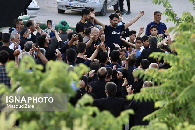 آیین نخلبرداری در مهریز بمناسبت شهادت حضرت علی(ع)