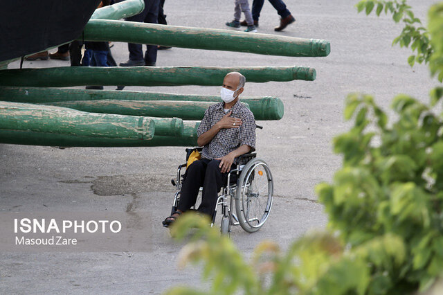 آیین نخلبرداری در مهریز بمناسبت شهادت حضرت علی(ع)