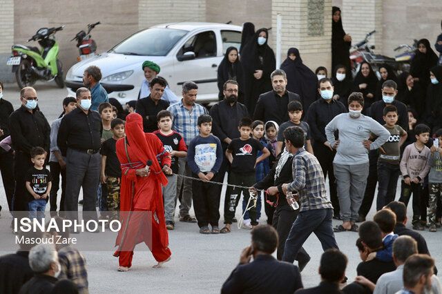 آیین نخلبرداری در مهریز بمناسبت شهادت حضرت علی(ع)