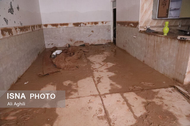 بازدید معاون رئیس جمهور از مناطق سیلزده یزد 