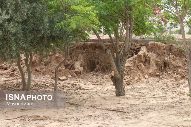 سیلاب بخشهایی از بزرگترین پارک یزد را تخریب کرد