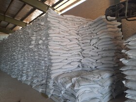 افزایش ۱۷ برابری مصرف کودهای فسفاته و پتاسه در استان یزد