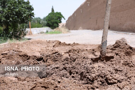 خشت زنی مسئولان شهر جهانی در باغی جهانی