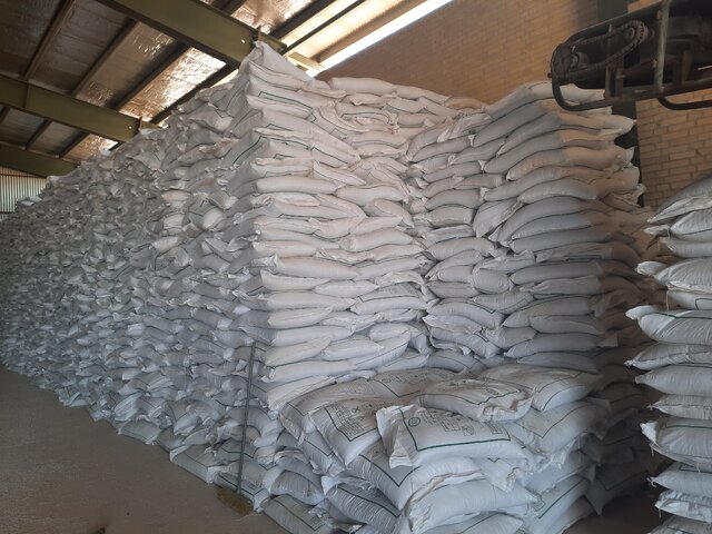 افزایش ۱۷ برابری مصرف کودهای فسفاته و پتاسه در استان یزد