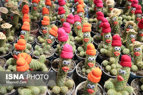نمایشگاهی از جنس گل و گیاه از نگاه دوربین ایسنا یزد