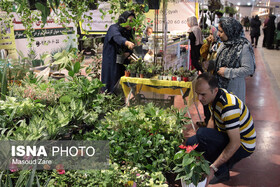 هشتمین نمایشگاه گل و گیاه در یزد گشایش یافت
