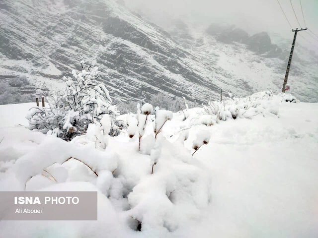 بارش برف در ییلاقات مهریز