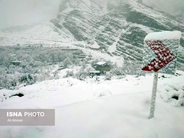 بارش برف در ییلاقات مهریز