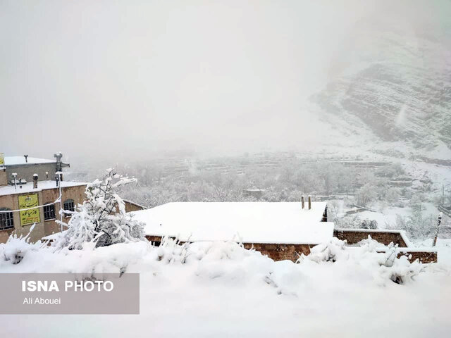 بارش برف در ییلاقات مهریز
