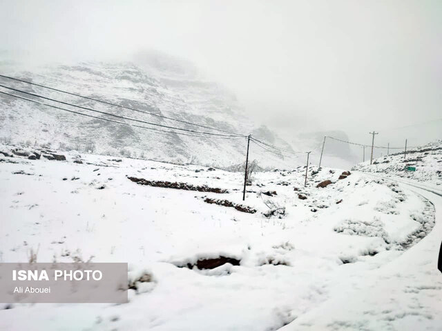 بارش برف در ییلاقات مهریز