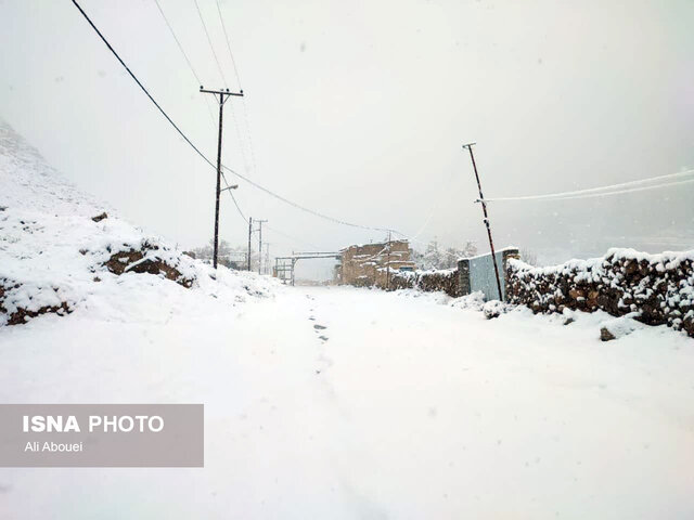 بارش برف در ییلاقات مهریز