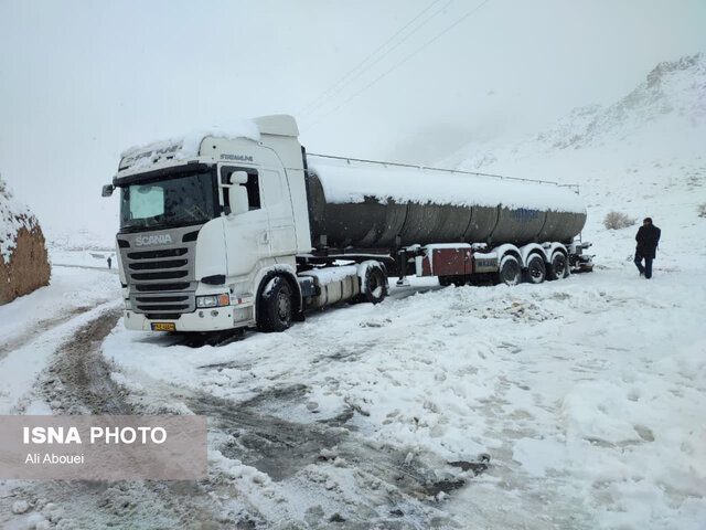 بارش برف در ییلاقات مهریز