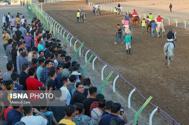 رقابت چابکسواران در ایستگاه هشتم کورس پاییزه یزد