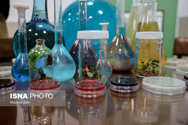 آغاز به کار نمایشگاه دستاوردهای دانشجویی دانشگاه علم و هنر یزد