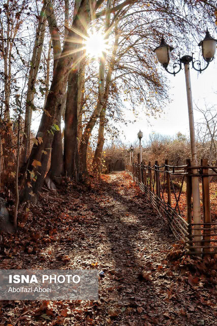 لباسِ پاییزی باغ جهانی پهلوانپور مهریز