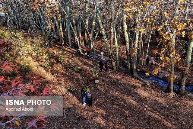 لباسِ پاییزی باغ جهانی پهلوانپور مهریز