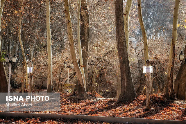لباسِ پاییزی باغ جهانی پهلوانپور مهریز