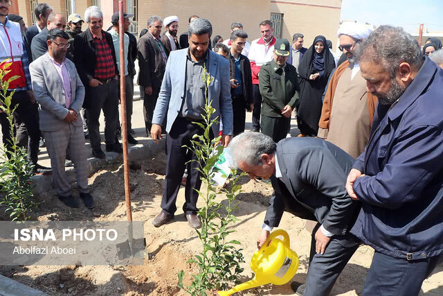 امام جمعه مهریز: درختکاری یک سرمایهگذاری ماندگار است
