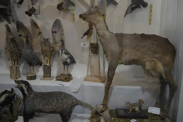 «از ژرف دریاها تا کویر بهاباد» در موزه منحصربفرد یک معلم