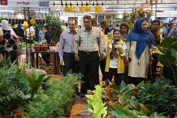 برپایی دهمین نمایشگاه گل و گیاه در یزد برپایی دهمین نمایشگاه گل و گیاه در یزد