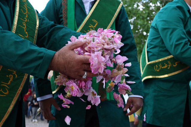 استقبال پرشور یزدی‌ها از آیین احیای سنت گلاب‌گیری باغ جهانی دولت‌آباد