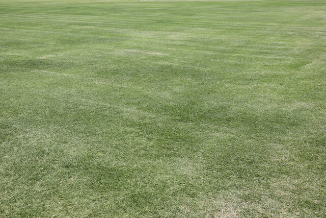 مجموعه استان پای کار آمادهسازی ورزشگاه نصیری یزد