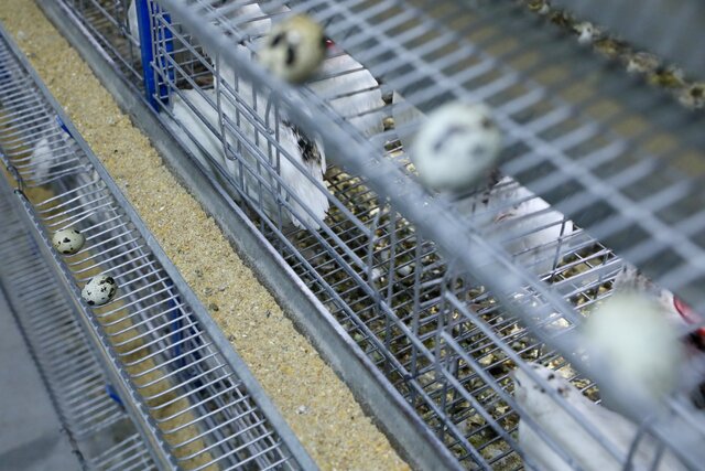 افتتاح طرحهای محرومیتزدایی یزد در قالب رزمایش فاطمی ۴