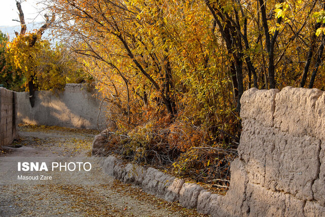 تخریب باغات تفت تنها با ثبت ملی متوقف میشود