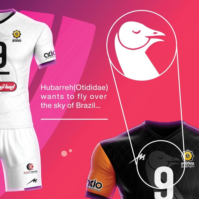 شهداب یزد با «هوبره» به جام باشگاههای جهان میرود