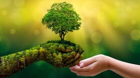 مصرف سبز در ایران؛ قربانی شرایط اقتصادی