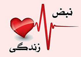 ارسال ۲۵۰ اثر به دبیرخانه جشنواره نبض زندگی در یزد