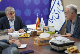 هدف‌گذاری یزد برای تحقق ۴ هزار مگاوات برق خورشیدی تا پایان سال