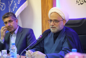 لزوم وصف کیفری برای برخی تخلفات کلان تعزیزاتی