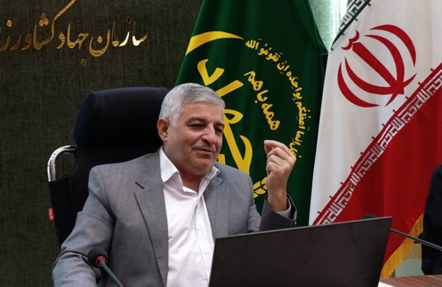 رئیس جهادکشاورزی استان: یزد قطب تولید بذر هیبرید در کشور است