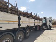 ناکامی قاچاقچیان چوب در مهریز؛ ۲۱ تن محموله غیرمجاز در گلوگاه شهید مدنی کشف و ضبط شد