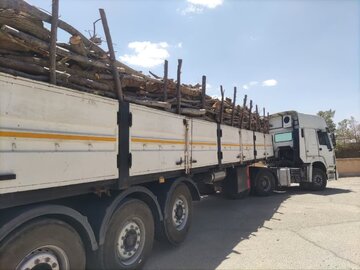 ناکامی قاچاقچیان چوب در مهریز/کشف۲۱ تن محموله غیرمجاز در گلوگاه شهید مدنی