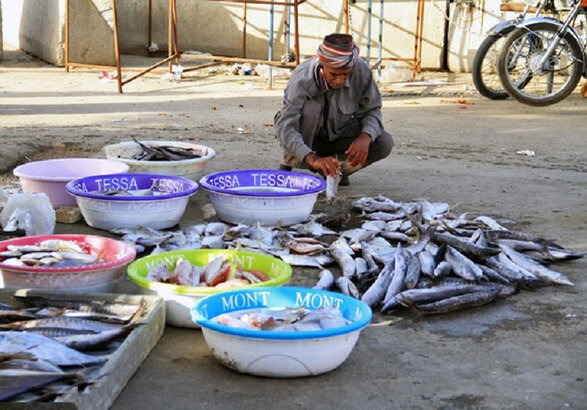 خرید ماهی از دست‌فروشان ممنوع
