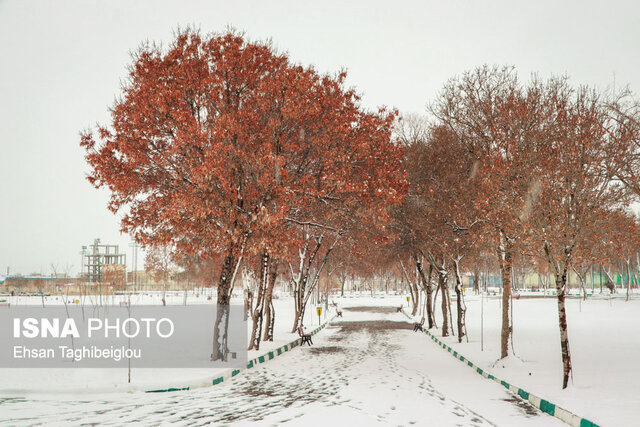 بارش برف زمستانی در زنجان