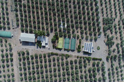 دعوت از نخبگان و سرمایه‌گذاران طارمی برای پیوستن به شورای توسعه طارم