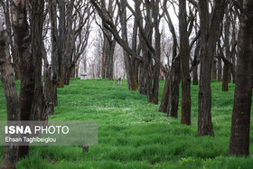 ساماندهی پارک پردیس از مطالبات شهروندان ابهری